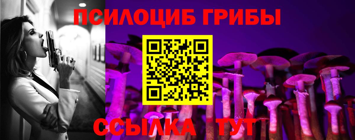 где найти наркотики  Псилоцибиновые грибы MAGIC MUSHROOMS  Псилоцибиновые грибы Psilocybine cubensis  Вход с VPN  Губаха 