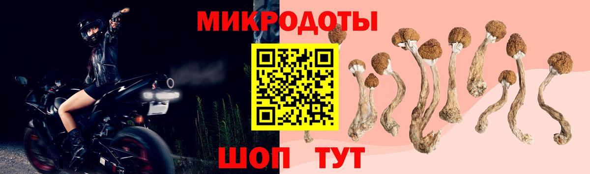 Псилоцибиновые грибы Magic Shrooms Губаха